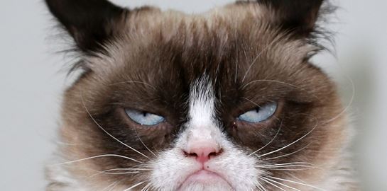 Τι θα συνέβαινε σε έναν κόσμο χωρίς γάτες;