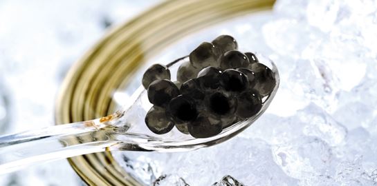 Γιατί το χαβιάρι είναι τόσο ακριβό;