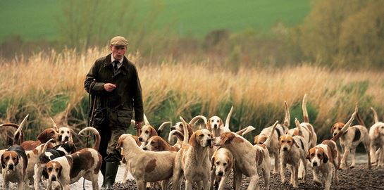 Wax On: Η κερωμένη και εξαιρετικά στιλάτη ιστορία της Barbour