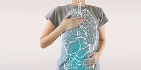 Ανοσοποιητικό σύστημα, 5 ενδιαφέροντα facts