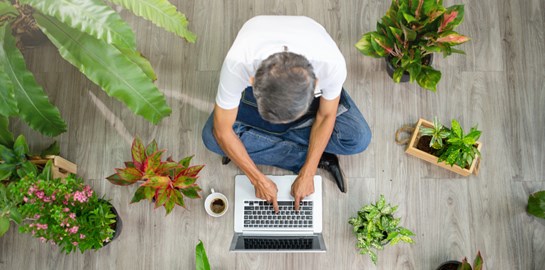 Γιατί πρέπει να βάλεις περισσότερα φυτά στο σπίτι σου