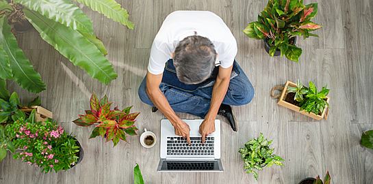 Γιατί πρέπει να βάλεις περισσότερα φυτά στο σπίτι σου