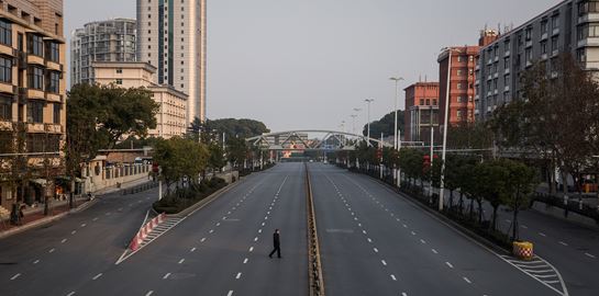 Αγορά άγριων ζώων στην Ουχάν &quot;γέννησε&quot; τον κορονοϊό;