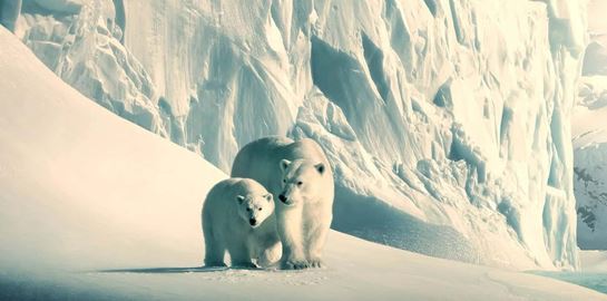 Κάποια από τα καλύτερα ντοκιμαντέρ του Netflix δωρεάν στο YouTube