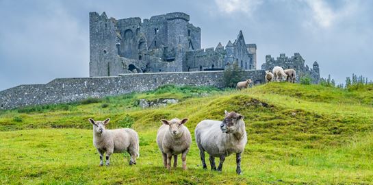 Ο πόλεμος του ιρλανδικού &#39;χρυσού&#39;