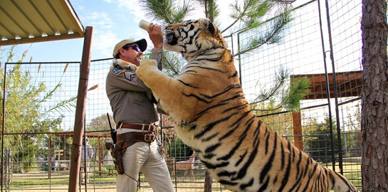 Ο Tiger King ζητά χάρη από τον Donald Trump μέσω της Kim Kardashian