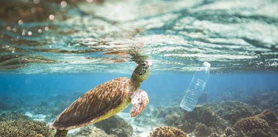 Πόσα πλαστικά υπάρχουν στη θάλασσα-Ο σοκαριστικός αριθμός