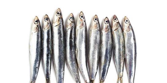 Τα κορυφαία εστιατόρια για ψάρι και θαλασσινά στην Αθήνα