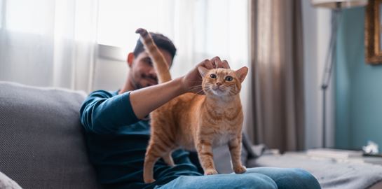 Τι θα πάθει η γάτα σου αν της νιαουρίζεις