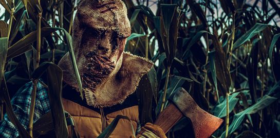 Ρεκόρ δολοφονιών υπέρμαχων του περιβάλλοντος