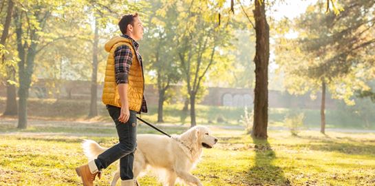 Τα οφέλη μίας απλής βόλτας είναι πολλά περισσότερα από ό,τι νομίζεις