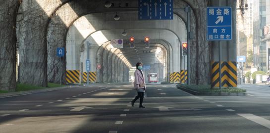 Από πού προήλθε τελικά ο κορονοϊός