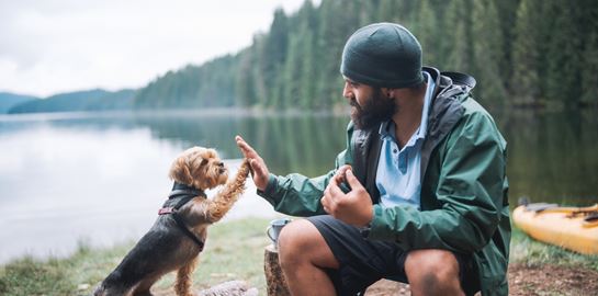 Τα σκυλιά μοιάζουν πραγματικά με τους ιδιοκτήτες τους, λέει η επιστήμη