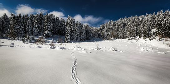 Εκεί όπου η θερμοκρασία έπεσε στους -25,1°C