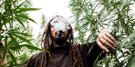 Κι αν η μαριχουάνα μπορούσε να νομιμοποιηθεί για θρησκευτικούς λόγους;
