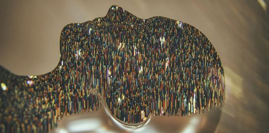 Κι αν στο μέλλον οι άνθρωποι πέφτουν σε χειμερία νάρκη;