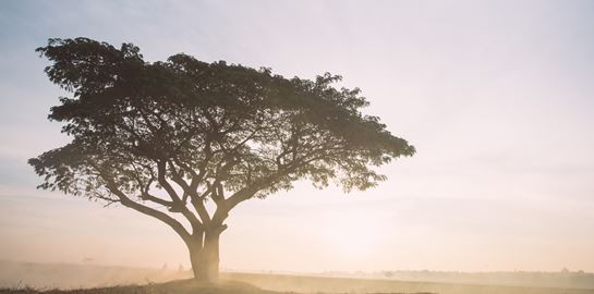 Αυτή είναι η πιο μολυσμένη πόλη στον κόσμο