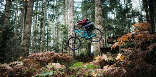 Μερικά από τα καλύτερα ηλεκτρικά mountain bikes