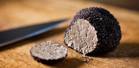 Όλα όσα πρέπει να γνωρίζεις για την τρούφα πριν την χρησιμοποιήσεις οπουδήποτε