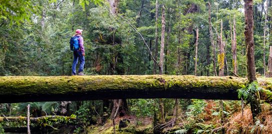 5 πράγματα που δεν ήξερες για την Τασμανία