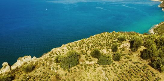 Ήρθε η ώρα να μιλήσουμε σοβαρά για το κρασί της Κεφαλονιάς