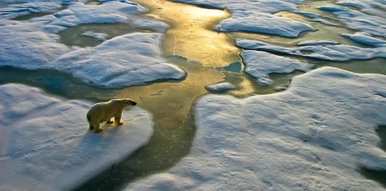 Περιβάλλον, ώρα μηδέν
