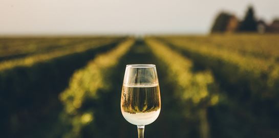 Η Άμβυξ ενισχύει το τμήμα Oenothèque