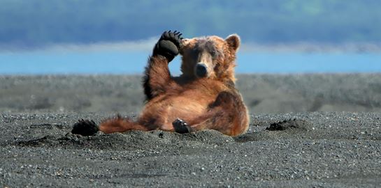 Οι καλές ειδήσεις μίας πολύ κακής χρονιάς