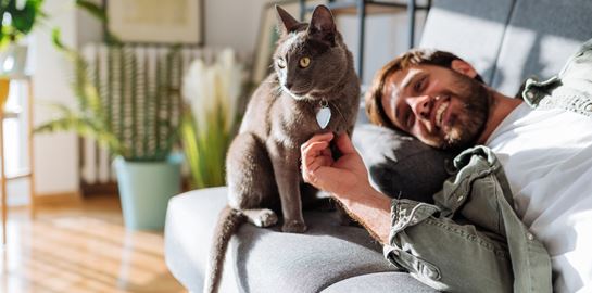 Με γάτα στο σπίτι όλα είναι καλύτερα