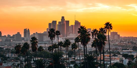 Hollywood Con Queen ή αλλιώς, μία σειρά για μία από τις μεγαλύτερες απάτες στο Χόλιγουντ