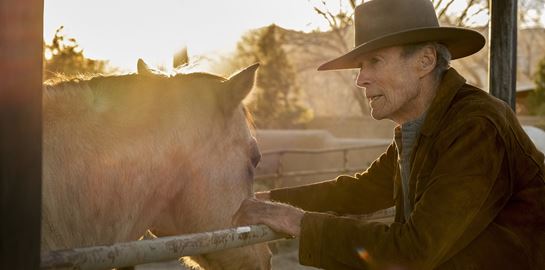Το Cry Macho, ο Βασιλιάς Otto και ό,τι νέο έρχεται στα θερινά σινεμά