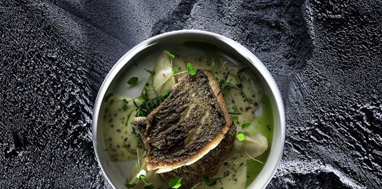 Οι Ψαράδες ρίχνουν δίχτυα σε πελάγη νοστιμιάς