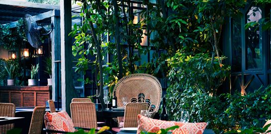 The Albion, restart σε έναν από τους πιο δροσερούς κήπους της Αθήνας