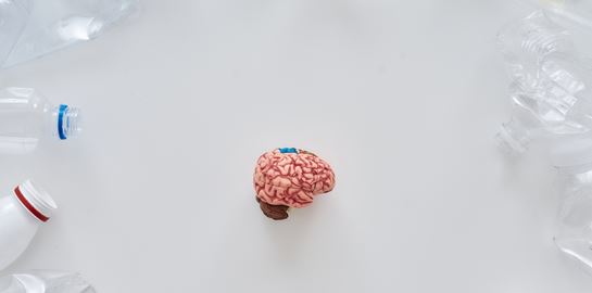 Υπάρχουν 5 πλαστικά καπάκια στον εγκέφαλό μας, λέει η επιστήμη