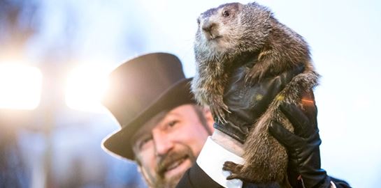 Αλήθεια, γνώριζες τι είναι η Μέρα της Μαρμότας;