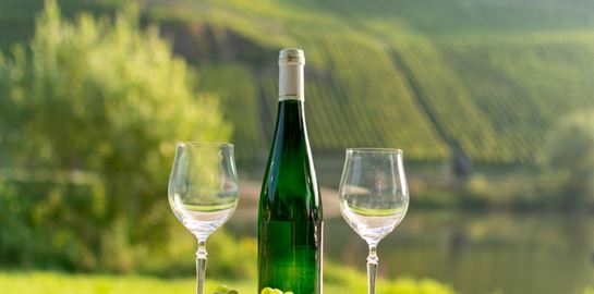 Τα πάντα για το Riesling