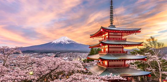 Το παράδοξο με τις κερασιές στην Ιαπωνία