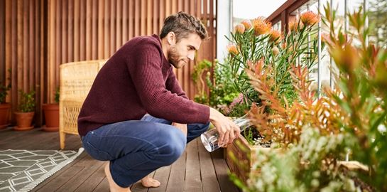Πώς θα επιβιώσουν τα φυτά σου όσο λείπεις διακοπές