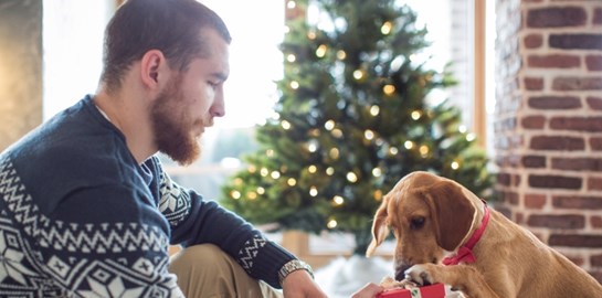 Ο απόλυτος οδηγός για τα χριστουγεννιάτικα δώρα σου