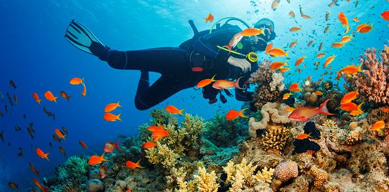 Tips για τέλειες καταδύσεις