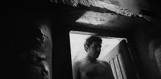 Η &quot;Βληχή&quot; του Γιώργου Λάνθιμου έρχεται από πολύ μακριά