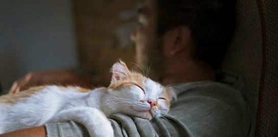 Πώς θα κοιμάσαι καλύτερα, σύμφωνα με το Harvard