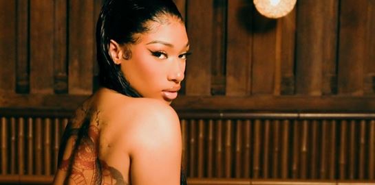Η Megan Thee Stallion μόλις απογείωσε τη φαντασία μας