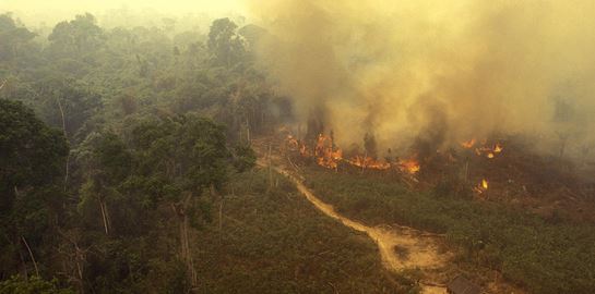Φλέγεται και πάλι ο Αμαζόνιος
