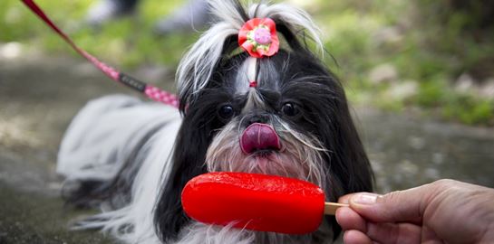 Ωραίο το παγωτό, αλλά πόσες ακριβώς θερμίδες έχει ανά γεύση;