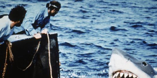 7 &#39;κουλά&#39; πράγματα για τα &#39;Σαγόνια του Καρχαρία&#39; που έγιναν 50 ετών