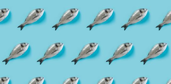 Η καλύτερη περίοδος για να φας ψάρι