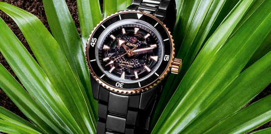 To DNA της Rado σε ένα ρολόι