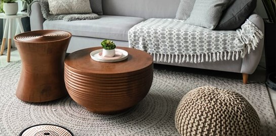 Υπάρχει ένα ρομπότ που παίρνει στα σοβαρά την καθαριότητα του σπιτιού σου