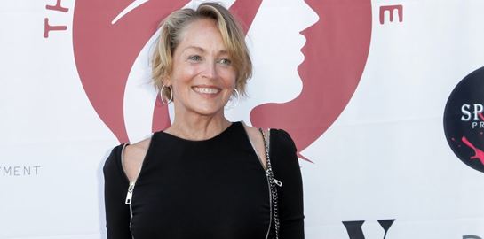 Μερικά εκατομμύρια likes για το μπικίνι της Sharon Stone